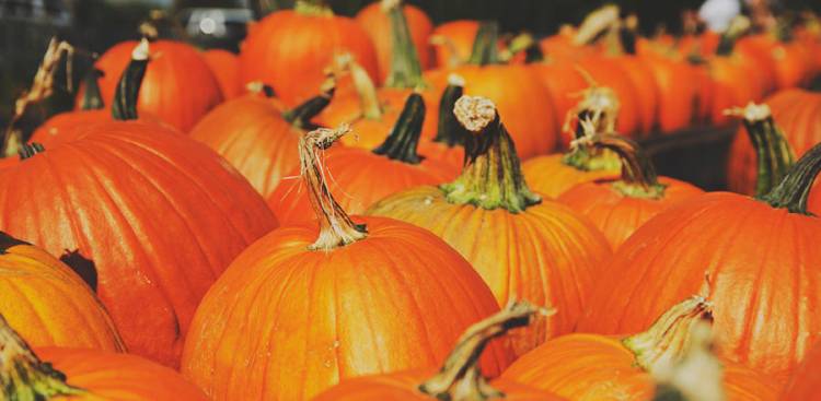 7 Surprising Vorteile von Pumpkin Seeds