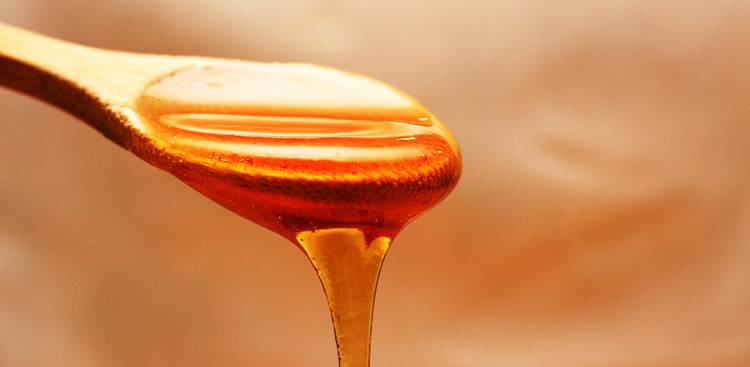 Die gesundheitlichen Vorteile von Royal Jelly