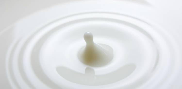 Gesundheitliche Vorteile von Calcium