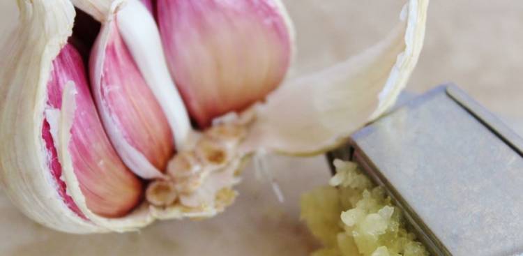 Gesundheitliche Vorteile von Garlic