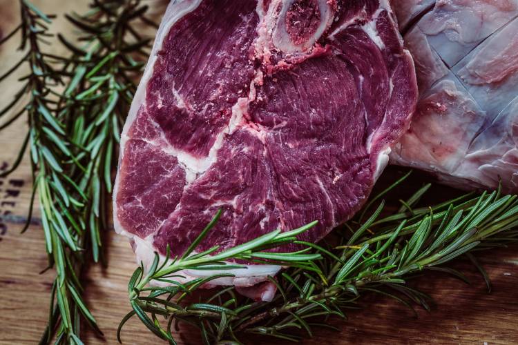 Caveman Diet Plan: Pros und Cons