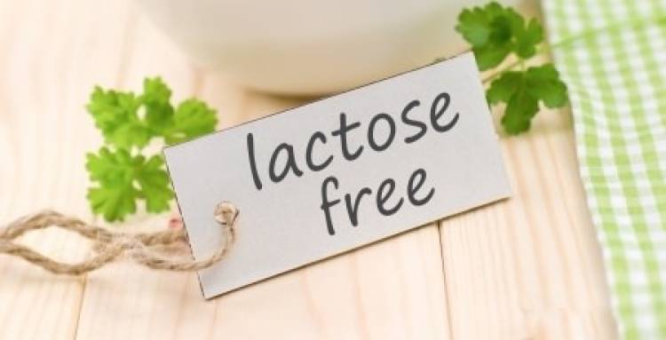 Avoiding Calcium Deficiencies auf ein Laktose Intolerant Diet