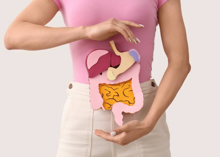 Probiotika für Gut Gesundheit: Unlocking die Vorteile von ein Balanced Microbiome