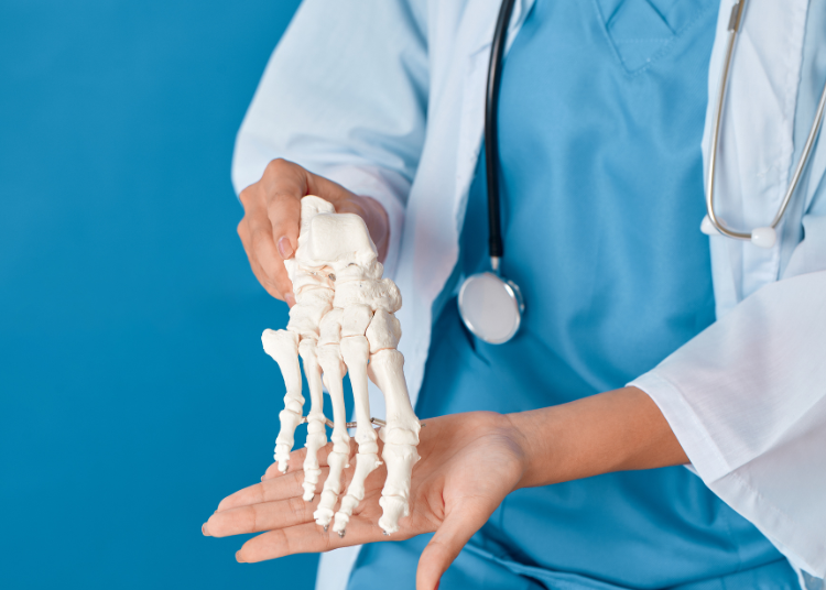 Osteoporosis and Sarcopenia: Understanding the Link and How to Manage Both Conditions