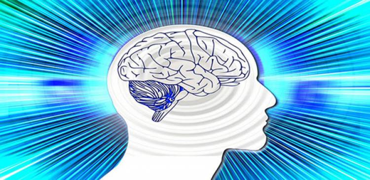 Die gesundheitlichen Vorteile von  Phosphatidylserine