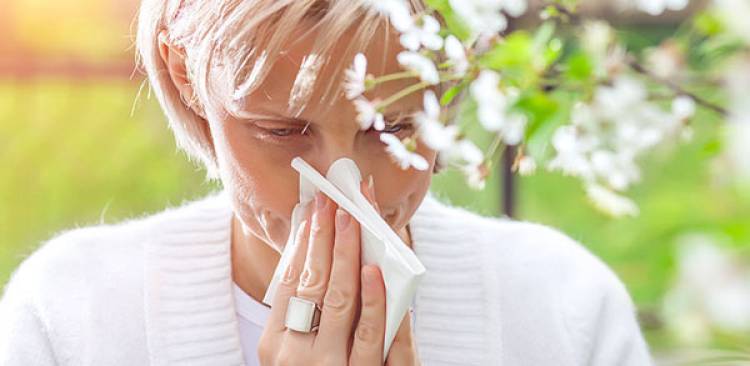 Natürlich Remedies für Hay Fever