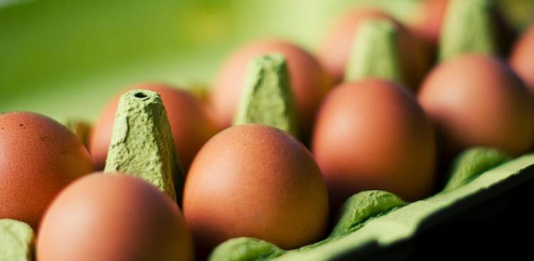 Wie Vitamin B Affects Acne