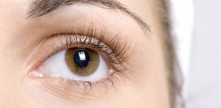 Look Into Ihr Eyes: Common Eye Problems