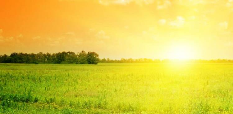Gesundheitliche Vorteile von Vitamin D