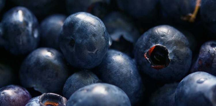 Gesundheitliche Vorteile von Bilberry