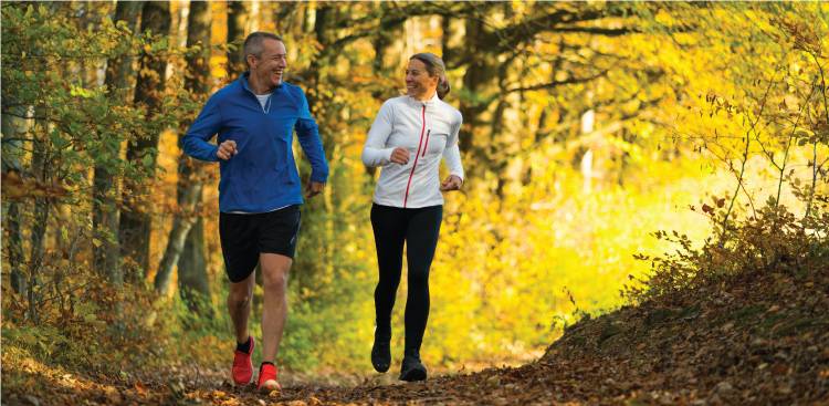 Gesundheitliche Vorteile von  Chondroitin