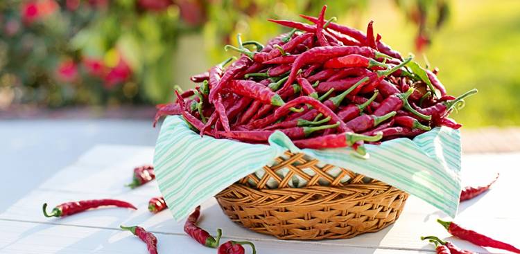 Gesundheitliche Vorteile von Capsicum / Capsaicin