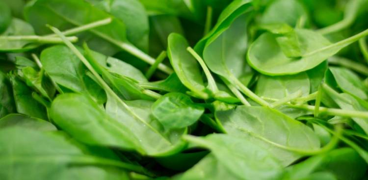 Gesundheitliche Vorteile von Vitamin K