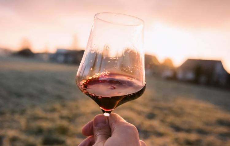 Vino rosso: Fa bene o Männer alla salute?