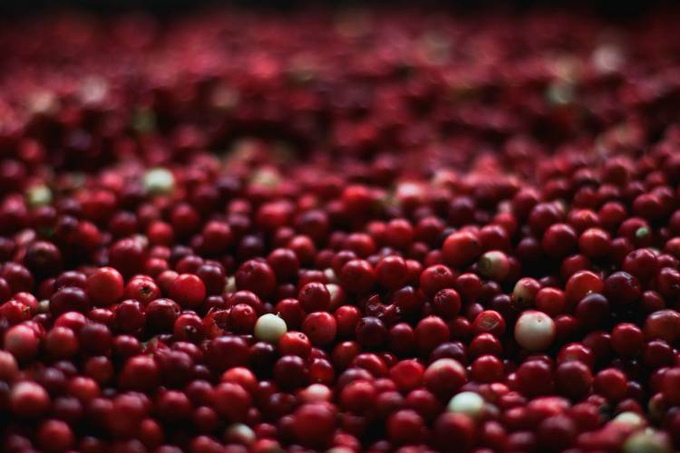 Gesundheitliche Vorteile von D-Mannose – Ist it Effective für Urinary Tract Infections?