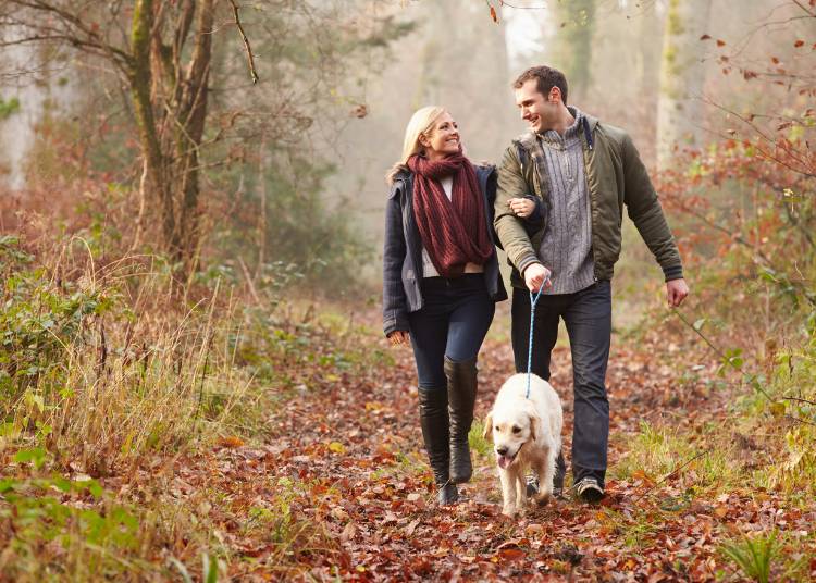 Embracing Autumn: Natürlich Ways zu Unterstützung Wellbeing as die Seasons Change