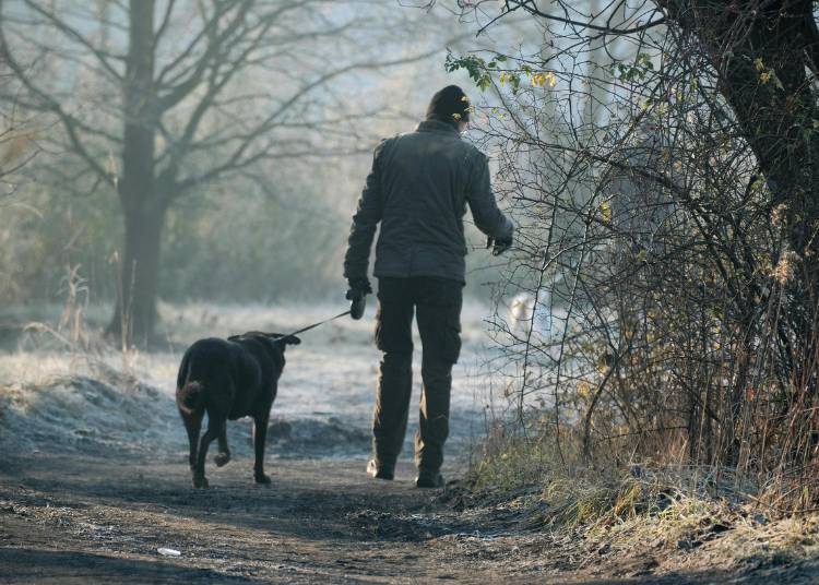 Ernährungs- und Lifestyle-Tipps zu Beat die Winter Blues