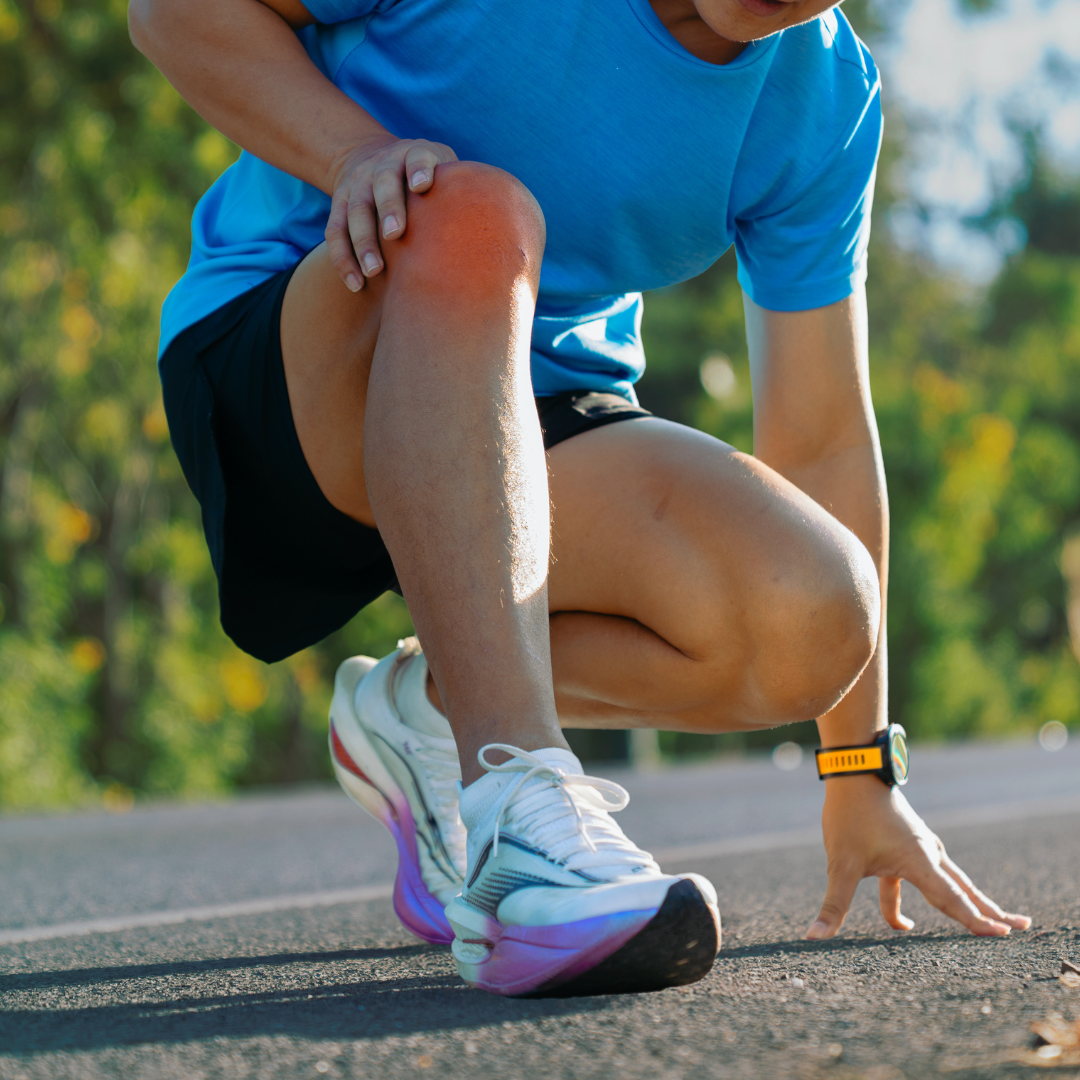 Chondroitin Nahrungsergänzungsmittel | Simply Supplements