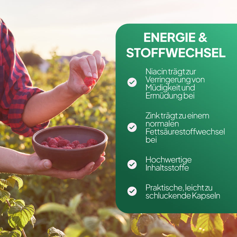 Eine Werbegrafik mit einem grünen Textfeld auf der rechten Seite, auf dem „ENERGIE & STOFFWECHSEL“ steht, sowie Aufzählungspunkten auf Deutsch, daneben ein Lifestyle-Foto einer Person in einem Himbeerfeld, die eine Schale mit frischen Himbeeren in der Hand hält.